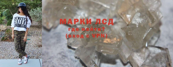 индика Алексин