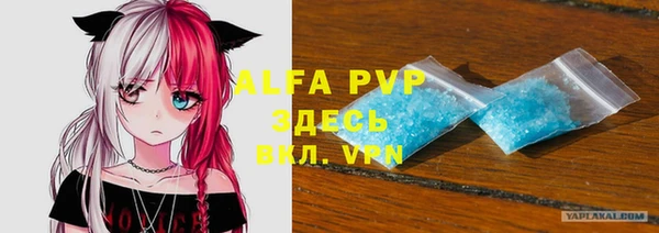 индика Алексин