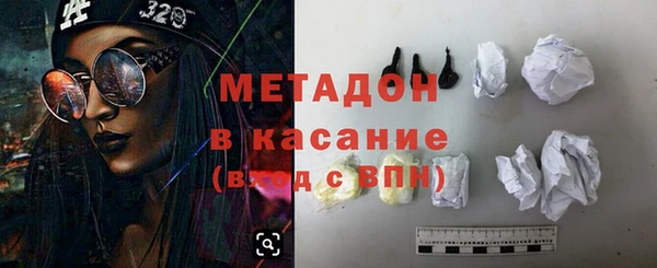 индика Алексин