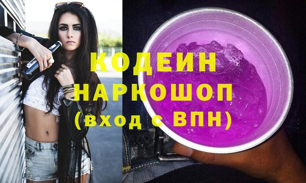 индика Алексин
