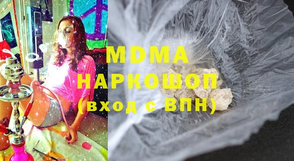 индика Алексин