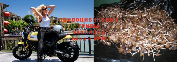 кокаин премиум Пролетарск